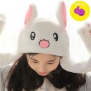 토끼발 이미지