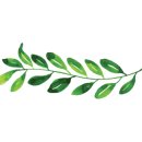 센트럴웰가공인중개사사무소 이미지