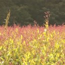 천연덕공방 이미지