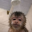 상빈 | 26.2 허리띠 졸라 맨다면서 술만 졸라 먹기