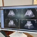 제일속건강의원 이미지