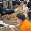 금당초등학교 이미지