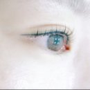 올가뷰티송천아이파크점 이미지
