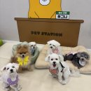 놀다가개유치원 | 오늘은 나의 유치원 생활을 보여줄거예요~!!