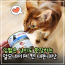 네이쳐 | 기호성 대박 고양이 습식캔! 편식냥이도 반해버린 알모네이쳐 내돈내산 후기