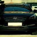 동해-단속-02 이미지