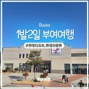 롯데정비 | 부여가족여행 1박2일 코스,맛집,숙소 솔직후기 │궁남지,롯데아웃렛,롯데리조트,장원막국수