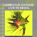 루미너스 Luminous 이미지