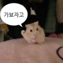 2025 여신님이 보고계셔 후기