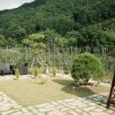 스테이 소안 이미지