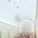 빌리프디자인 | [일산 웨스턴 빌리프 예식장 후기] 완벽한 결혼식을 위한 선택!