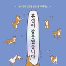 피개행개 이미지