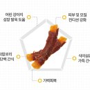 반려동물 간식 이미지