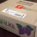 옥림농원 | 거제 무농약 둔덕포도 씨없는 포도 택배 진공포장으로 안전하게