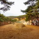 이색선생 묘일원 이미지
