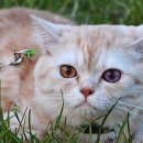 남원동물병원 이미지