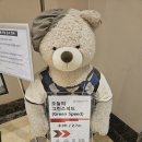 프로페셔널골프매니지먼트 | 제주도 명문급 골프코스 제주 테디밸리cc 라운딩 후기