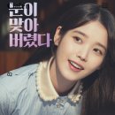 으뜸50안경&위드렌즈 웅천점 네이버블로그