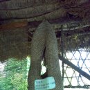 (시골 가는 길) 중앙 고속도로 단양 휴게소에 들려서... 이미지