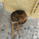 산토리니민박 이미지