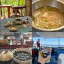 제이원하우스 | 말라파스쿠아 다이빙 환도상어 업체 드래곤제이원 후기, 세부 패키지로 굿!