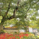 금곡상회 이미지