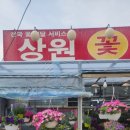 상원농원 이미지