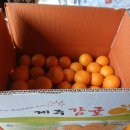 상큼 달콤한 황금향 판매해요^^ 이미지