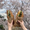 침산공원(A) | 엔제리너스 테이크아웃 심쿵 피크닉 with 대구 벚꽃명소