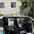 신정애견미용 이미지