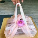 굿모닝청과 이미지