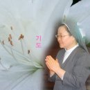 안젤라 이미지