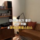 스톤래빗 이미지