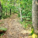 금남면사무소 이미지