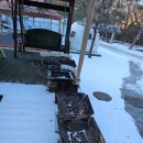 공작산계곡 오토캠핑장 | 홍천캠핑장 공작산 계곡오토캠핑장 제일 추운날 차박으로 살아남기