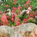 희망분수 이미지