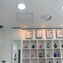 탠베이비