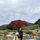 자연농장 | 🌿 부산 아이와 함께 자연 속 힐링 체험! 정관치유농장 온담 후기 💚