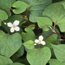 김은영내과의원 이미지