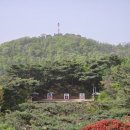 줌피시 이미지