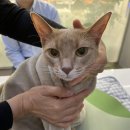 금천종합동물병원 이미지