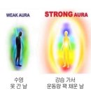 에브리원안경 | 잘 살아? 잘 살게