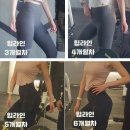 버서커 짐 이미지