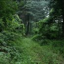 캐슬의아침 이미지