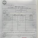닥터전치과의원 이미지