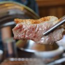 불미골오리 이미지