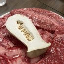 봉화사우나 | 소노벨 단양, 조식 후기! 단양 한우 맛집 단양 한우정육