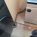 올림픽로43길 이미지