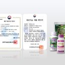 153 머니투데이