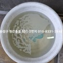 카스타트 | 대전에바크리닝업체 유성 아이오닉5 전기차 에어컨냄새제거 대전 서구 유성구 차에어컨청소 잘하는곳